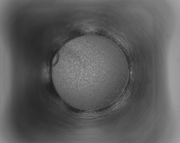 X0000102481156200808151444