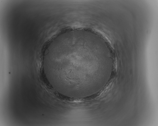 X0000102481157200808151444