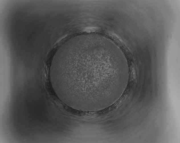 X0000102481158200808151444