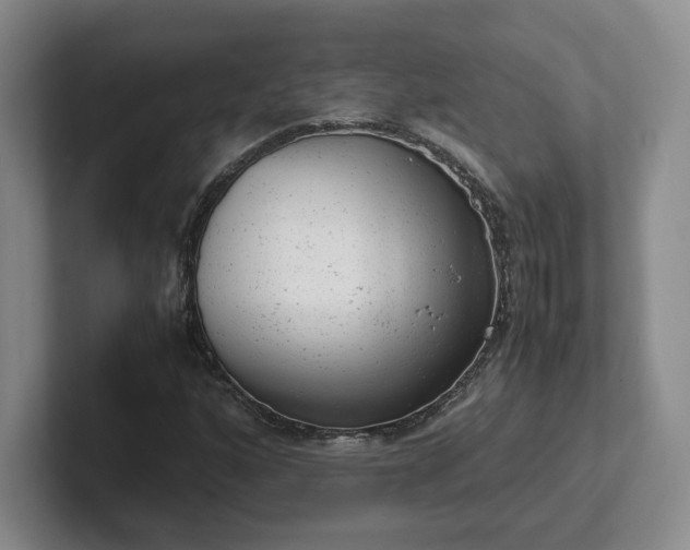 X0000102481160200808151444