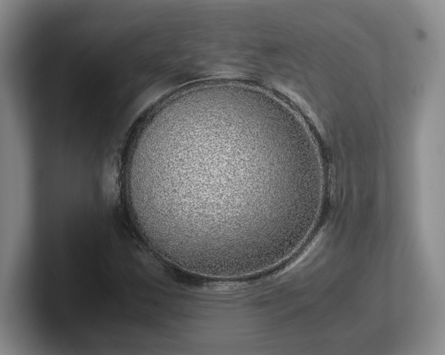 X0000102481163200808151443