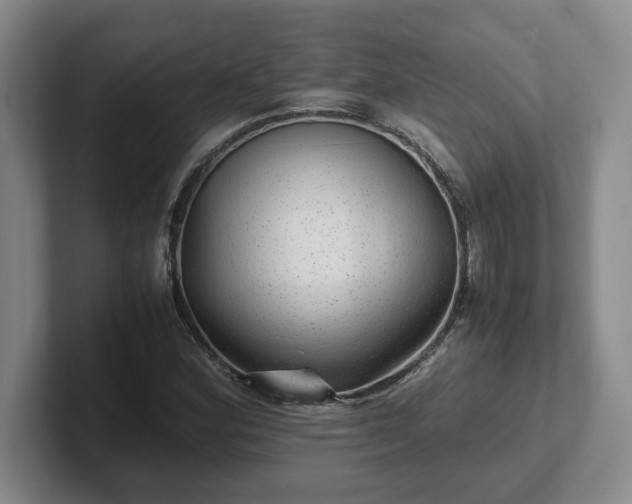 X0000102481164200808151443