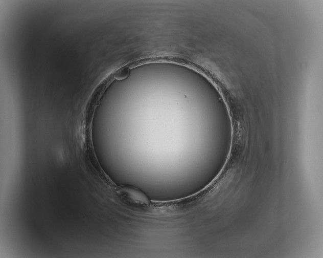 X0000102481165200808151443