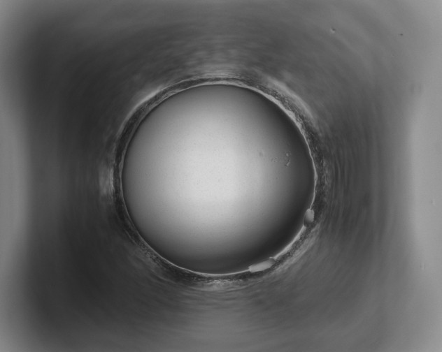 X0000102481166200808151443