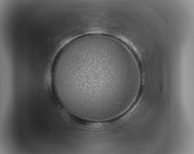 X0000102481167200808151443