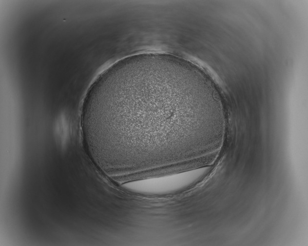 X0000102481168200808151443