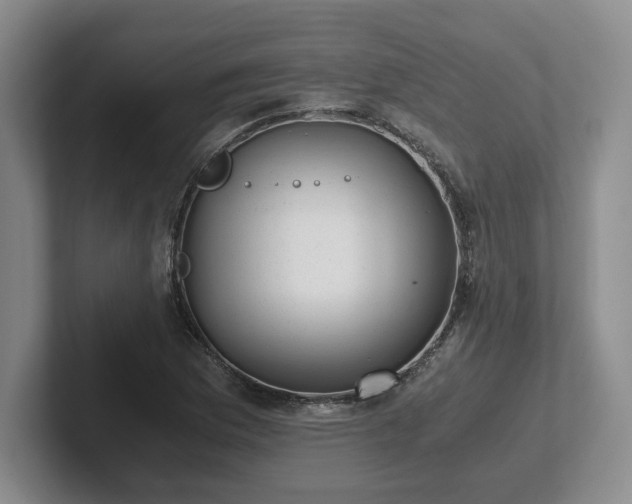 X0000102481169200808151443