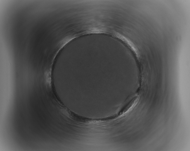 X0000102481170200808151443