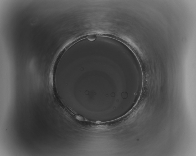 X0000102481173200808151443