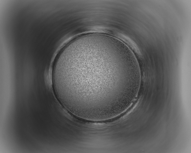 X0000102481180200808151443