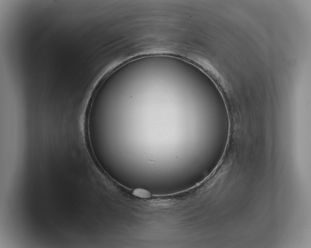 X0000102481181200808151443