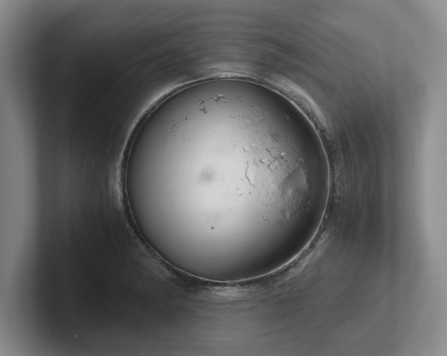 X0000102481182200808151443