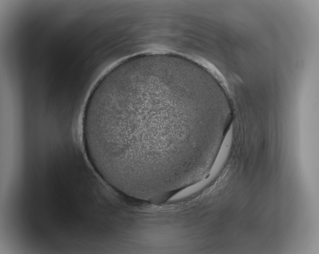 X0000102481183200808151443