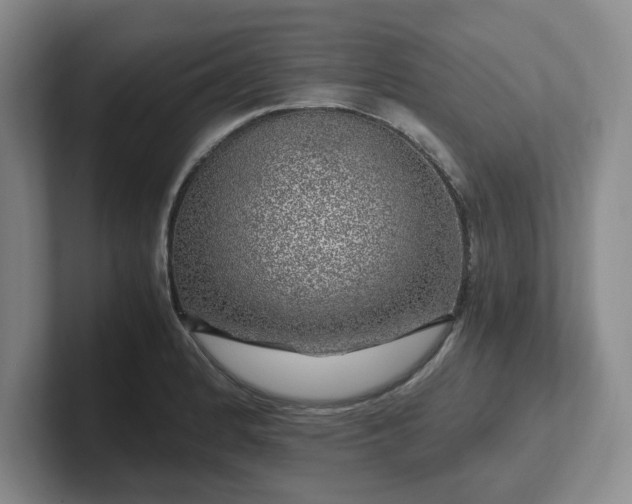 X0000102481184200808151443