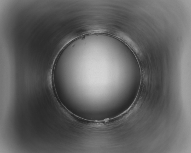 X0000102481186200808151443