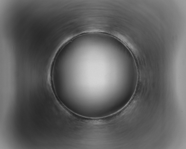 X0000102481189200808151443