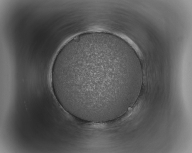 X0000102481191200808151443