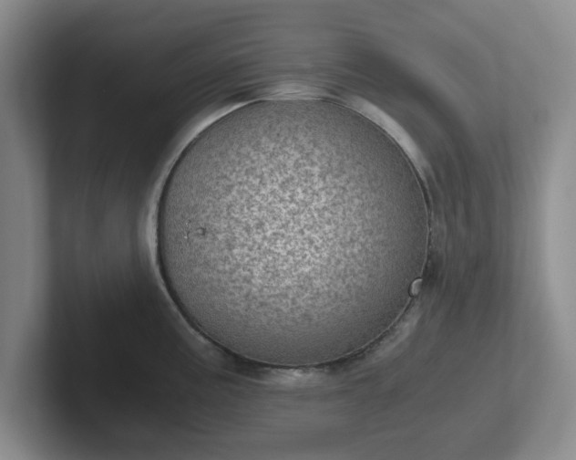 X0000102481195200808151443