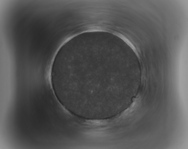 X0000102481197200808151443