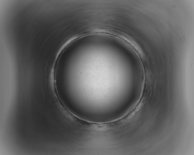 X0000102481198200808151443