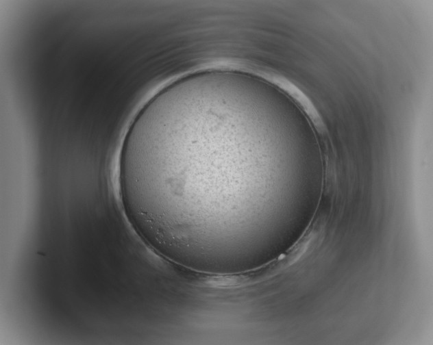 X0000102481199200808151443