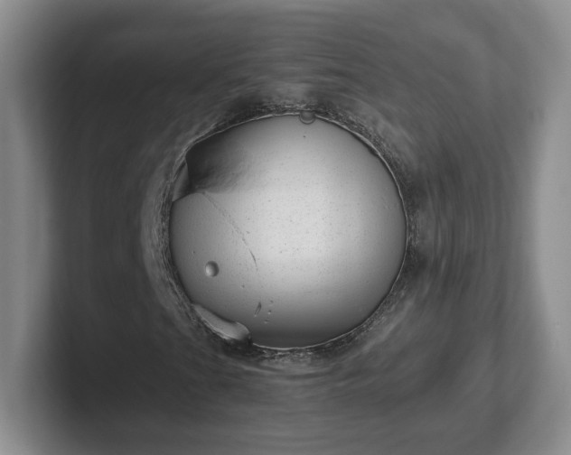 X0000102481201200808151442