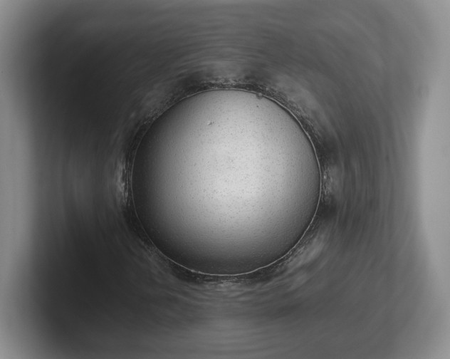 X0000102481202200808151442