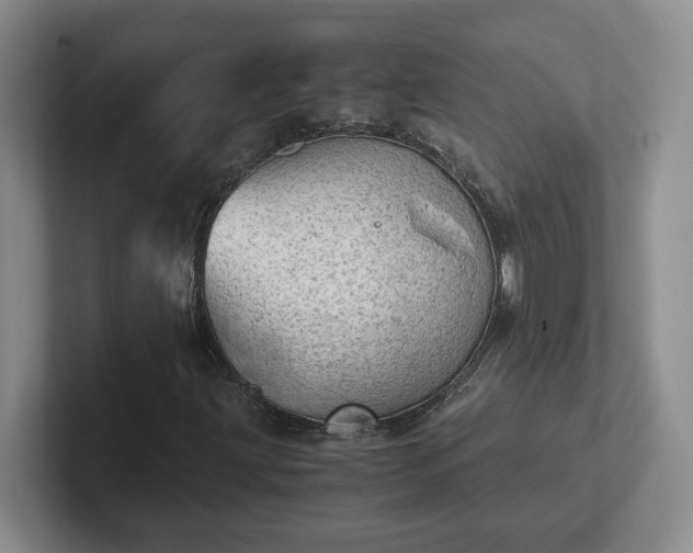 X0000102481203200808151442