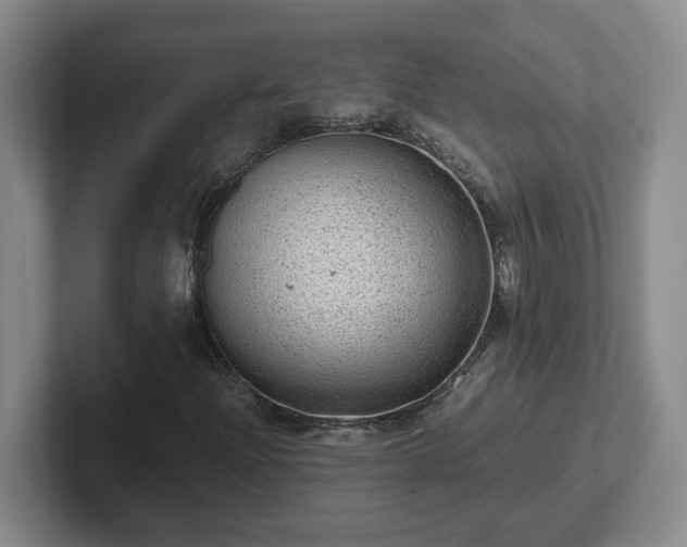 X0000102481204200808151442