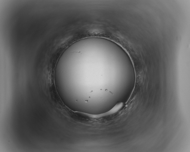 X0000102481205200808151442