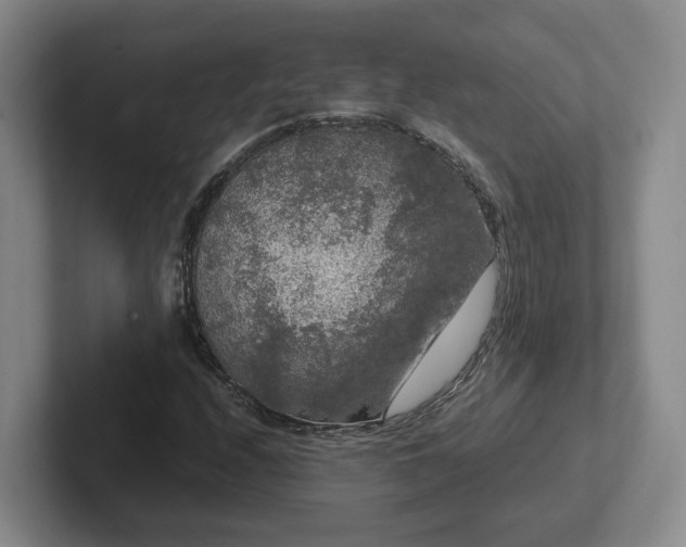 X0000102481208200808151442