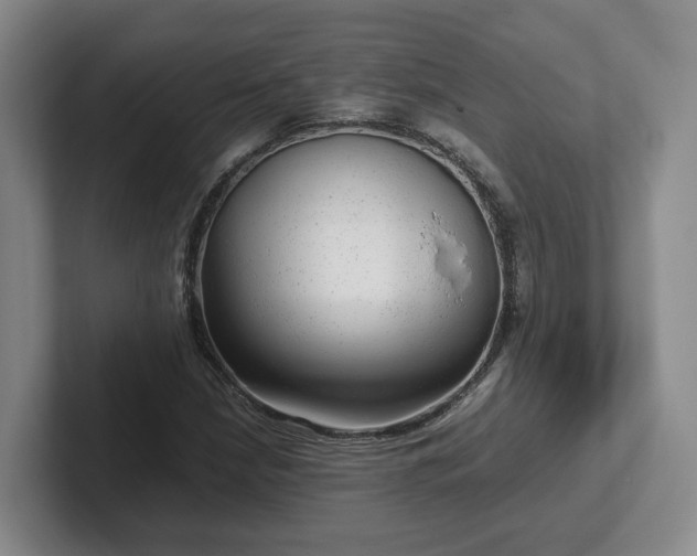 X0000102481210200808151442