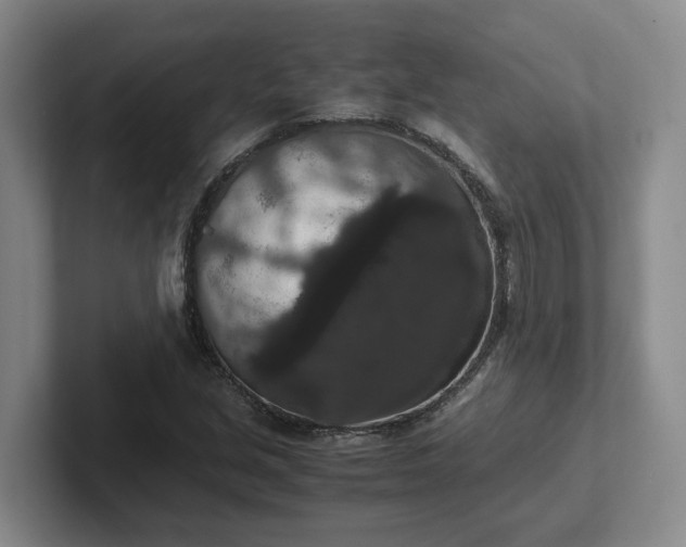 X0000102481213200808151442