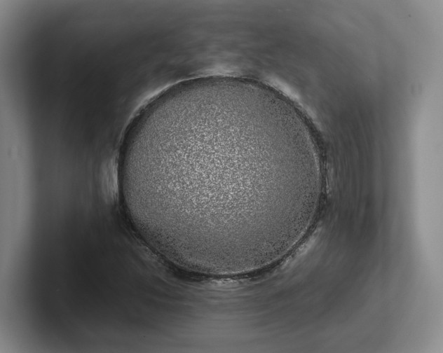 X0000102481214200808151443