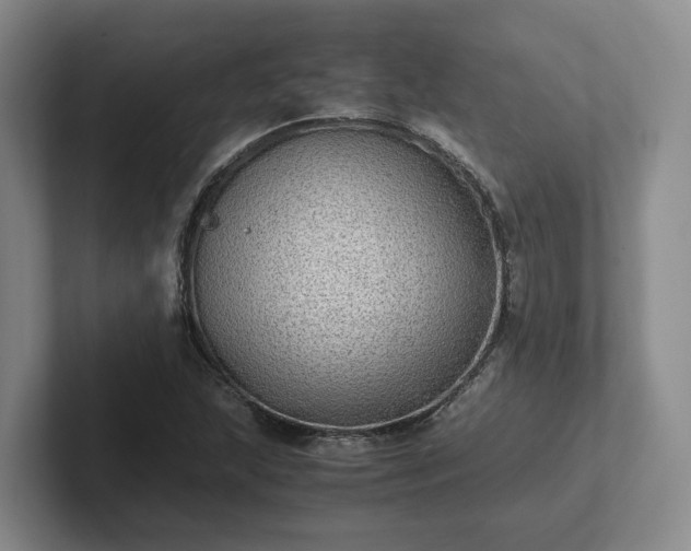 X0000102481215200808151443