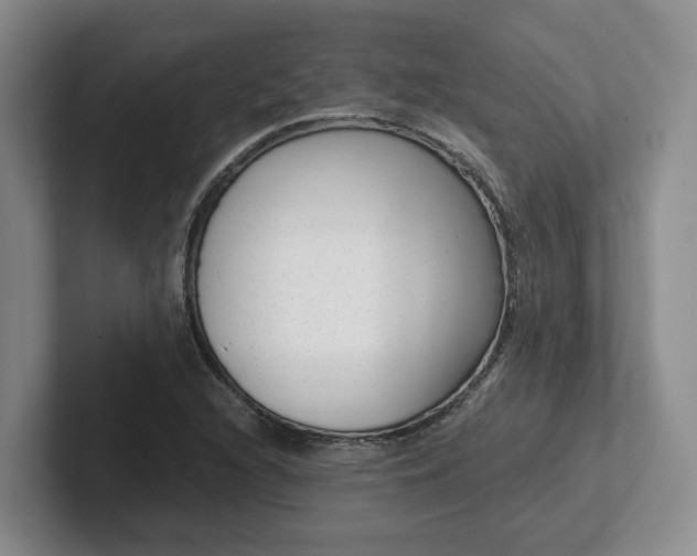 X0000102481216200808151443