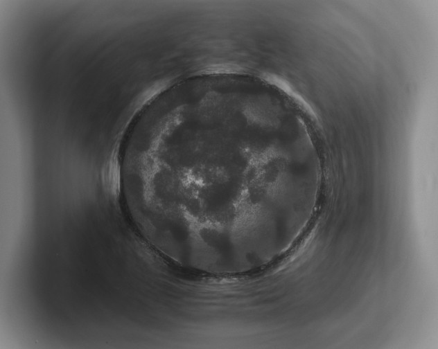 X0000102481221200808151443