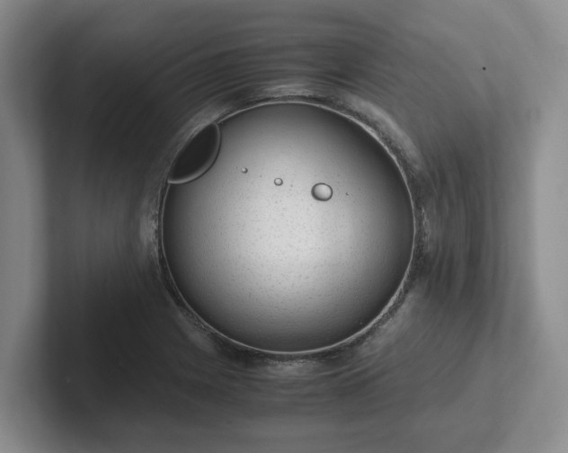 X0000102481225200808151443