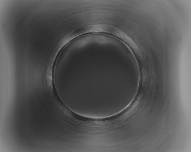 X0000102481226200808151443