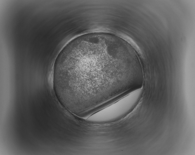 X0000102481228200808151443