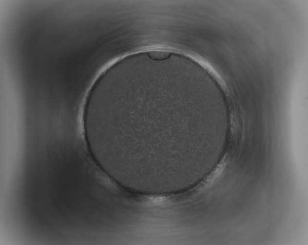 X0000102481230200808151443