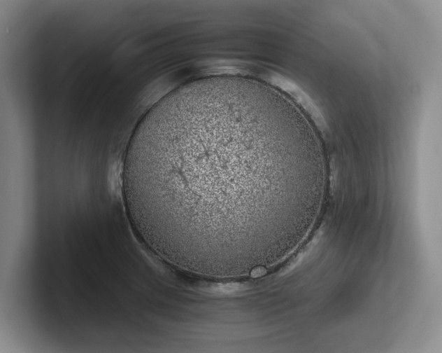 X0000102481233200808151443