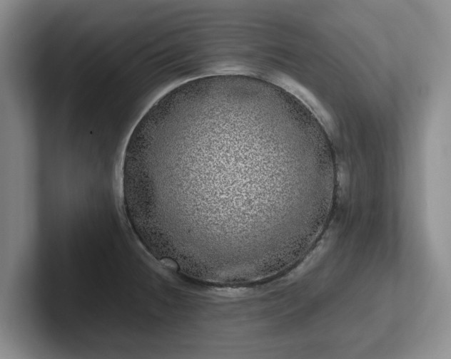 X0000102481236200808151443