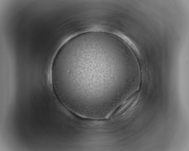 X0000102481238200808151443