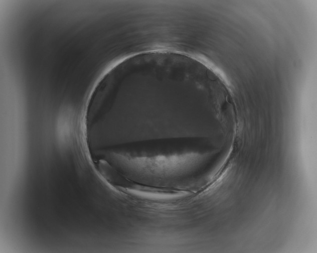 X0000102481239200808151443