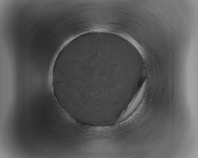 X0000102481240200808151443