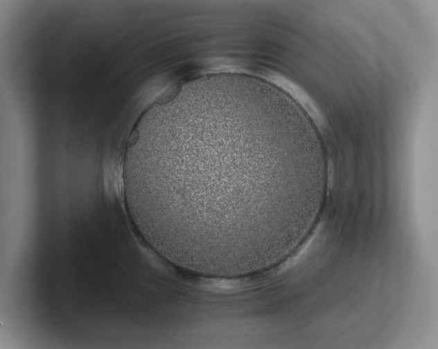 X0000102481241200808151443