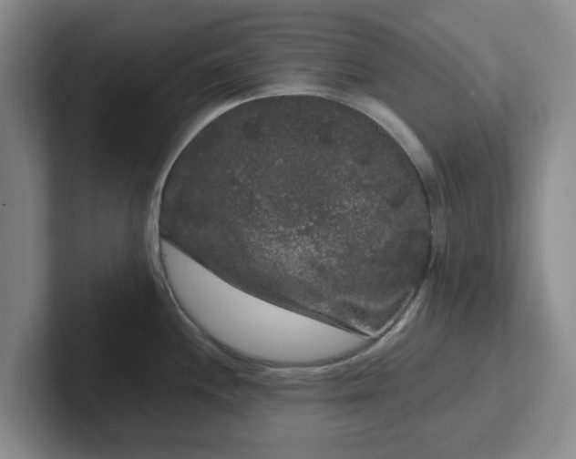 X0000102481244200808151443