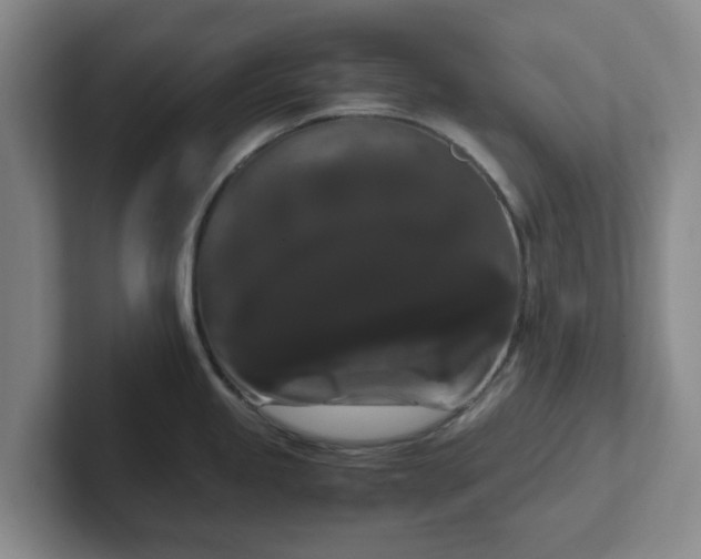 X0000102481245200808151443