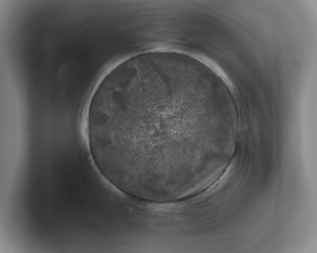 X0000102481247200808151443